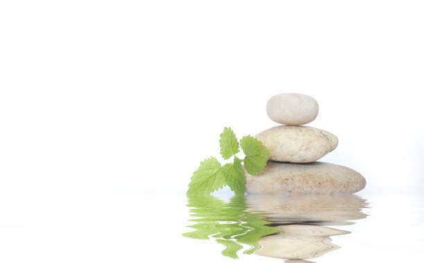 istock wellness,spa,relaxation,zen stones,lemon balm herb,aromatherapy,free copy space 1262909455