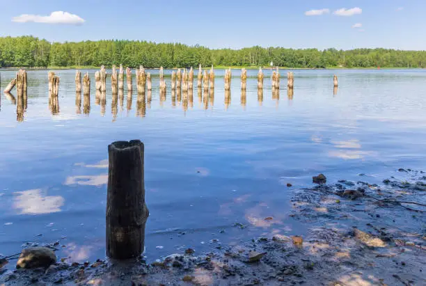 Remains of wooden berths of Peter the Great's times in the fortress