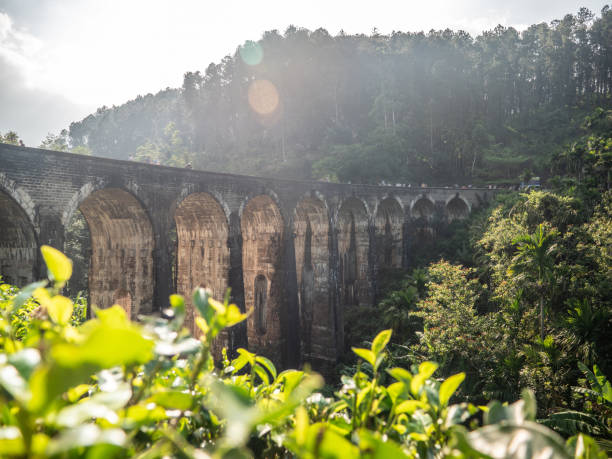 istock Nine arches Bridge in Sri Lanka at sunset 1262915237