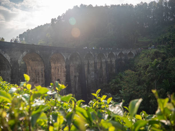 istock Nine arches Bridge in Sri Lanka at sunset 1262915416