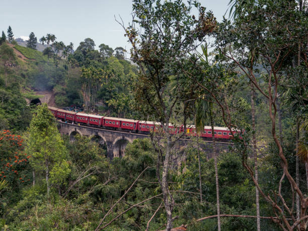 istock Nine arches Bridge in Sri Lanka at sunset with red train 1262916925