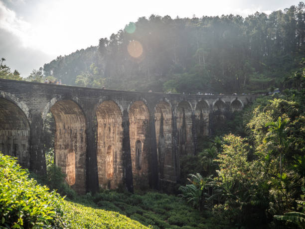 istock Nine arches Bridge in Sri Lanka at sunset 1262919133