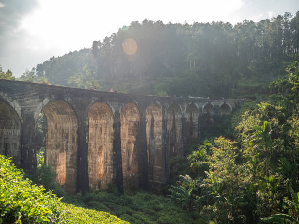 istock Nine arches Bridge in Sri Lanka at sunset 1262923547