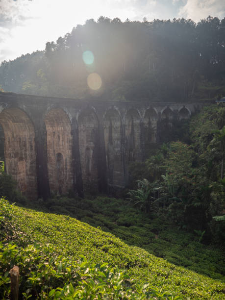 istock Nine arches Bridge in Sri Lanka at sunset 1262925694