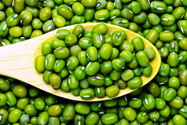 istock Mung beans on wood ladle. 1262951314