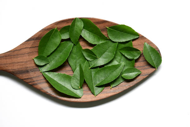 Curry leaves in the wooden spoon Curry leaves in the wooden spoon spicery stock pictures, royalty-free photos & images