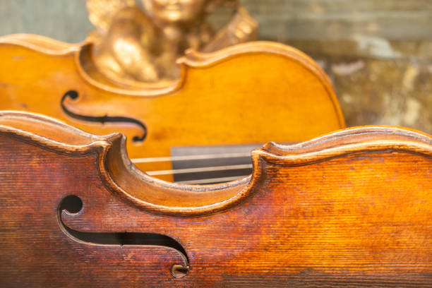 violín clásico, viola, primer plano - cello violin luxury macro fotografías e imágenes de stock