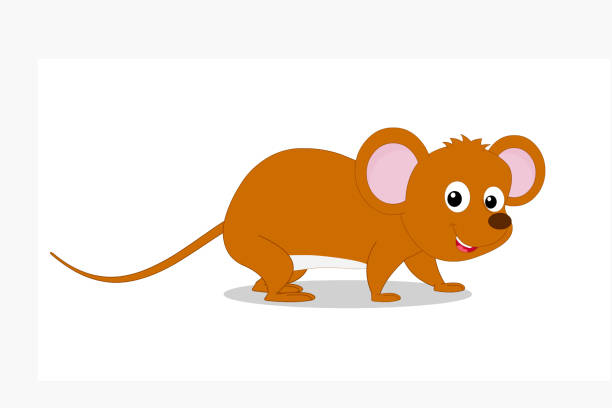 istock Illustrations Of Animals And Birds. Clip Art 1262957659