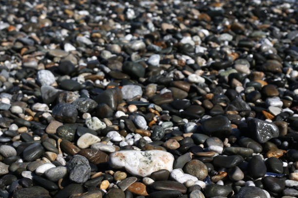 istock Pebbles on a Cape Town Beach 1262962934