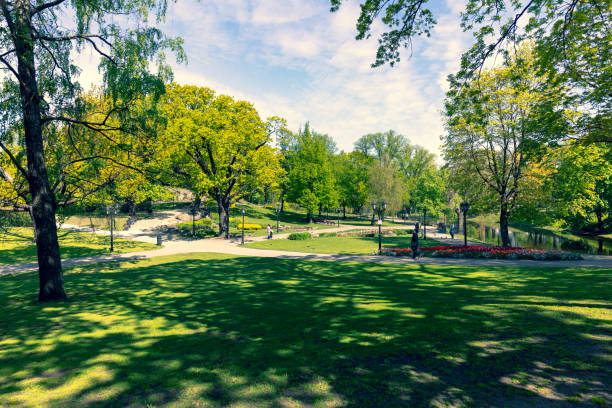 istock Shadows on the green grass in the park from the trees 1262963395