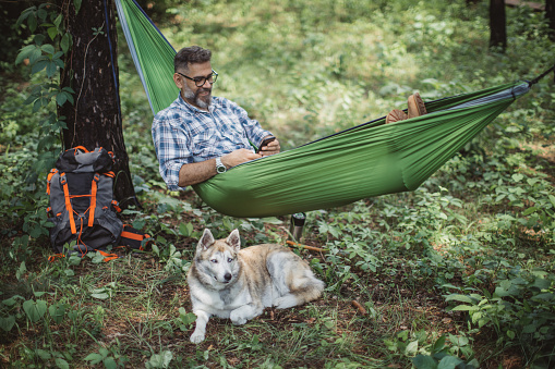 Mature man at forest. Sitting at hammock and enjoying in nature with his dog.