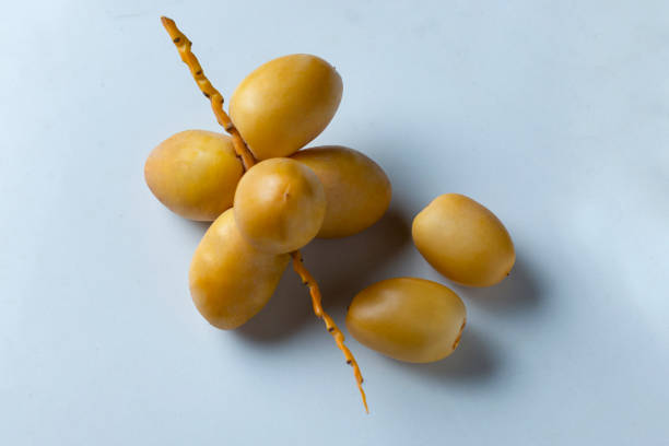 istock fresh dates fruits on white background . 1262968411
