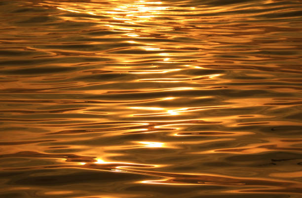 istock Abstract background of golden water surface with sunlight reflections 1262975322