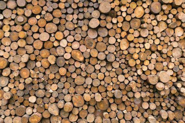 istock Textured Background; Texture Made With Pieces Of Wood Logs. 1262977014