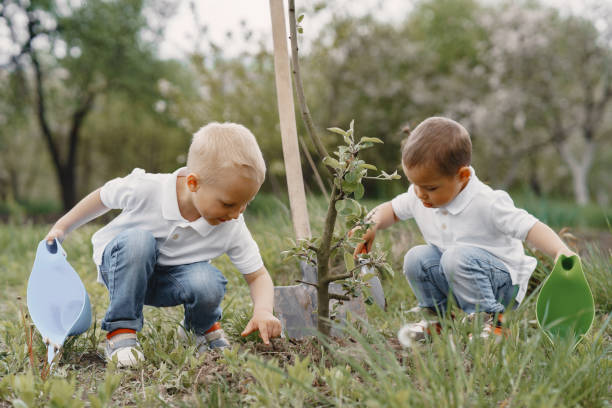 istock Cute little boys planting a tree on a park 1262977295