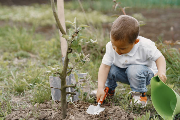 istock Cute little boy planting a tree on a park 1262977311