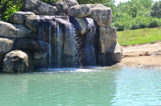 istock A Beautiful Waterfall Outdoors 1262979220