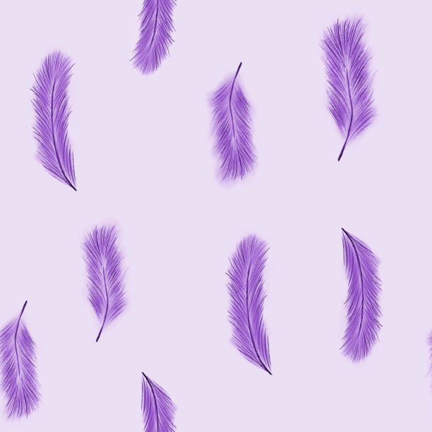 illustrations, cliparts, dessins animés et icônes de motif sans couture de plumes violettes sur fond violet. dessin à la main. impression, emballage, papier peint, textile, conception de tissu - feather boa feather isolated red