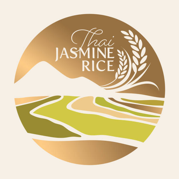 paddy rice premium organic paddy rice premium organic paddy rice premium organic natural product banner logo vector design rice4 stock illustrations