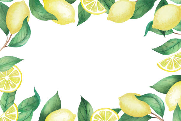 istock Beautiful watercolor invitation on white background. Frame of lemons and green branches, leaves 1262984242