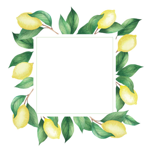 istock Watercolor square frame of lemons and green branches, leaves. Isolated drawing on a white background 1262984243