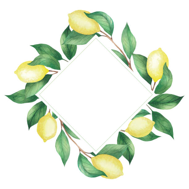 istock Watercolor frame invitation of lemons and green branches, leaves. Rhombus frame isolated on a white background 1262984258
