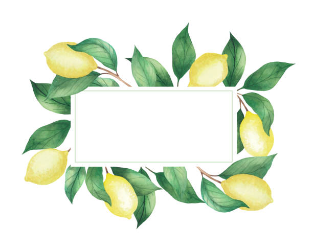 istock Watercolor rectangular frame of lemons and green branches, leaves. Isolated drawing on a white background.  Perfect for cards, invitations, logo and much more 1262984262