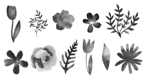 набор элементов акварели черного дизайна - fern frond leaf illustration and painting stock illustrations