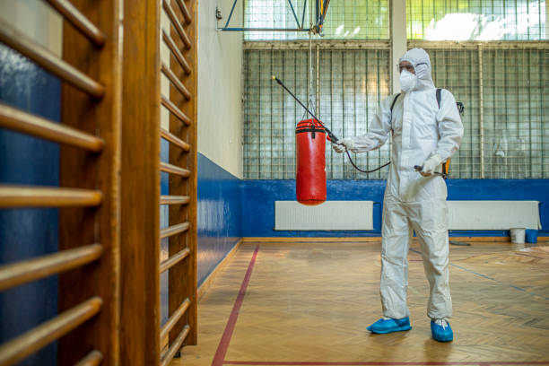 istock Man in a hazmat suit disinfecting the school 1262990565