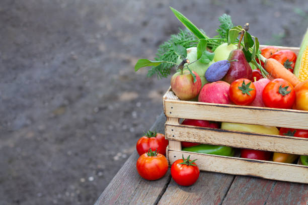 istock Fresh eco vegetables and fruit on wooden crate or box on rustic table in a garden 1262990988