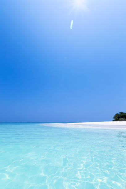 istock Beautiful Maldives nature 1262994924