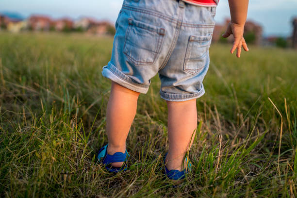 istock Little kid walking in meadow with high grass on sunset 1262998892