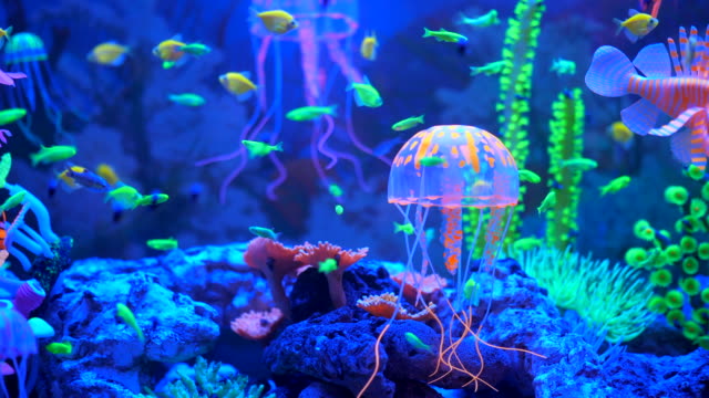 Aquarium under ultraviolet uv light.