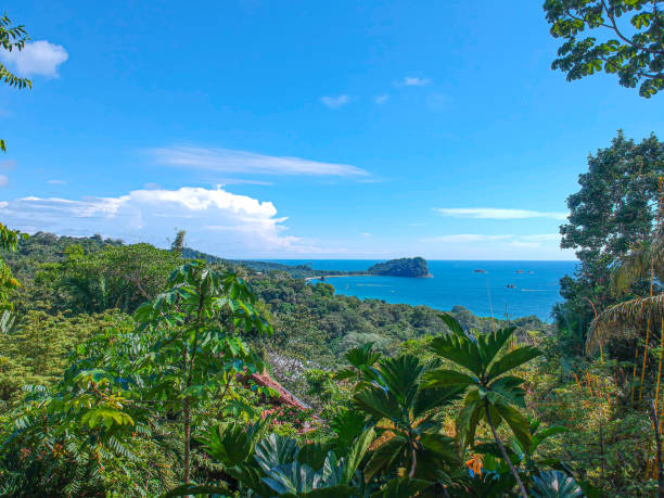 View of Manuel Antonia National Park and Ocean - Background Beautiful landscape of the ocean to Manuel Antonio National Park in Costa Rica with lush tropical forest. manuel antonio national park stock pictures, royalty-free photos & images