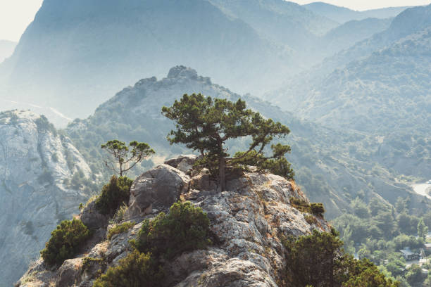 istock Mountains and the sea 1263009227