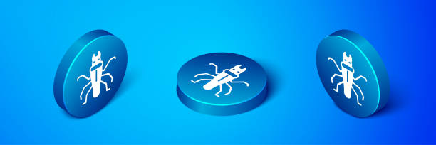 isometrischetermite-symbol isoliert auf blauem hintergrund. blauer kreis-taste. vektor - ant underground animal nest insect stock-grafiken, -clipart, -cartoons und -symbole