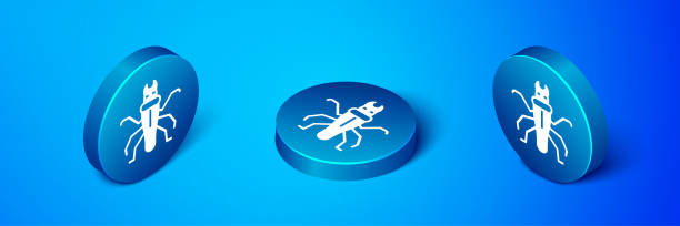 ilustrações de stock, clip art, desenhos animados e ícones de isometric termite icon isolated on blue background. blue circle button. vector - ant underground animal nest insect