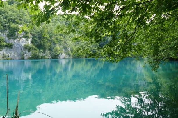 istock plitvice lake in Croatia in spring 1263014318
