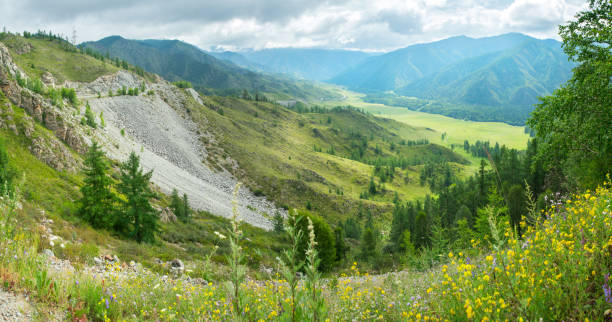 View of the valley from the mountain pass, Altai. Summer greenery. View of the valley from the mountain pass, Altai. Summer greenery, cloudy. altai nature reserve photos stock pictures, royalty-free photos & images