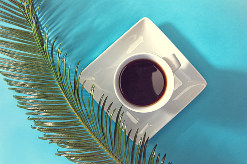 This is a photograph taken in the studio of a modern Coffee cup with black coffee on a baby blue powder background with a tropical palm branch