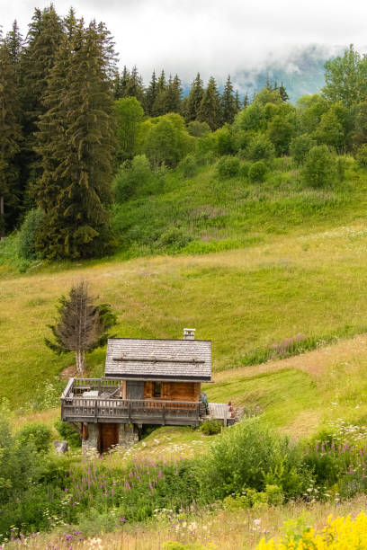 istock An isolated chalet in the Alps 1263019268