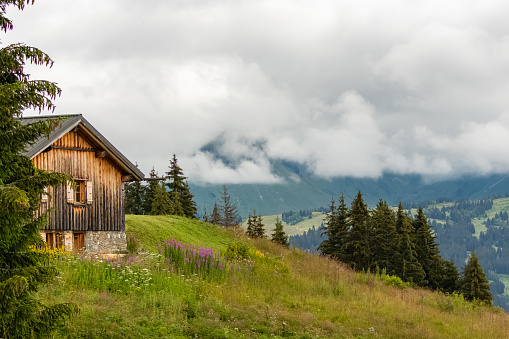 An isolated chalet in the Alps, near Morzine, in France, the mountain in spring