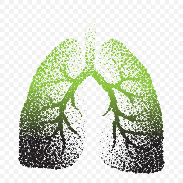 дым людей легкие пунктирной silhouete - human lung healthy lifestyle healthcare and medicine green stock illustrations