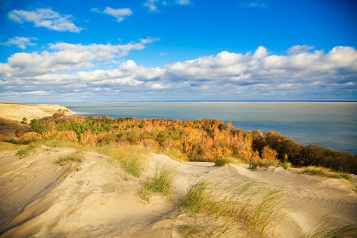 autumn in the dunes of Curonian Spit in Nida, Neringa, Lithuania