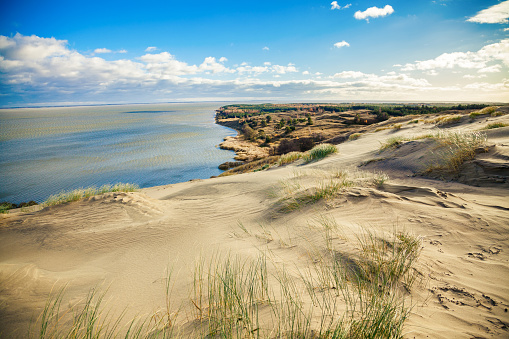 Sand dune with marram grass under a blue sky with clouds in summer. Langeoog, East Frisian Islands, Lower Saxony, Germany