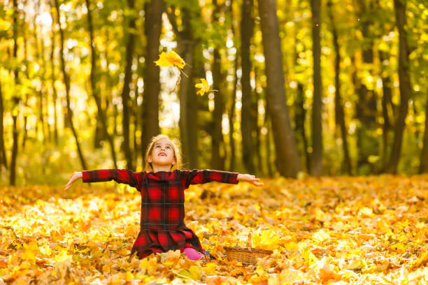 istock Very cheerful child having fun while tossing up yellow leaves 1263021988