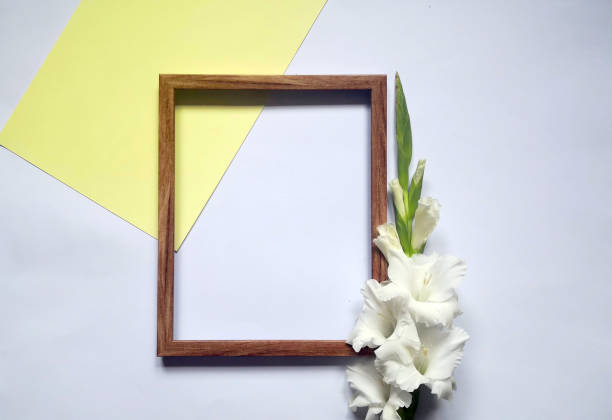 istock Gladioli and photo frame 1263027476