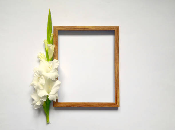 istock Gladioli and photo frame 1263027484