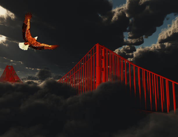 eagle in flight - golden gate bridge bridge weather california stock-fotos und bilder