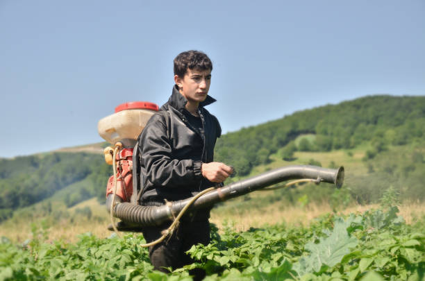 istock spraying in the field 1263031763